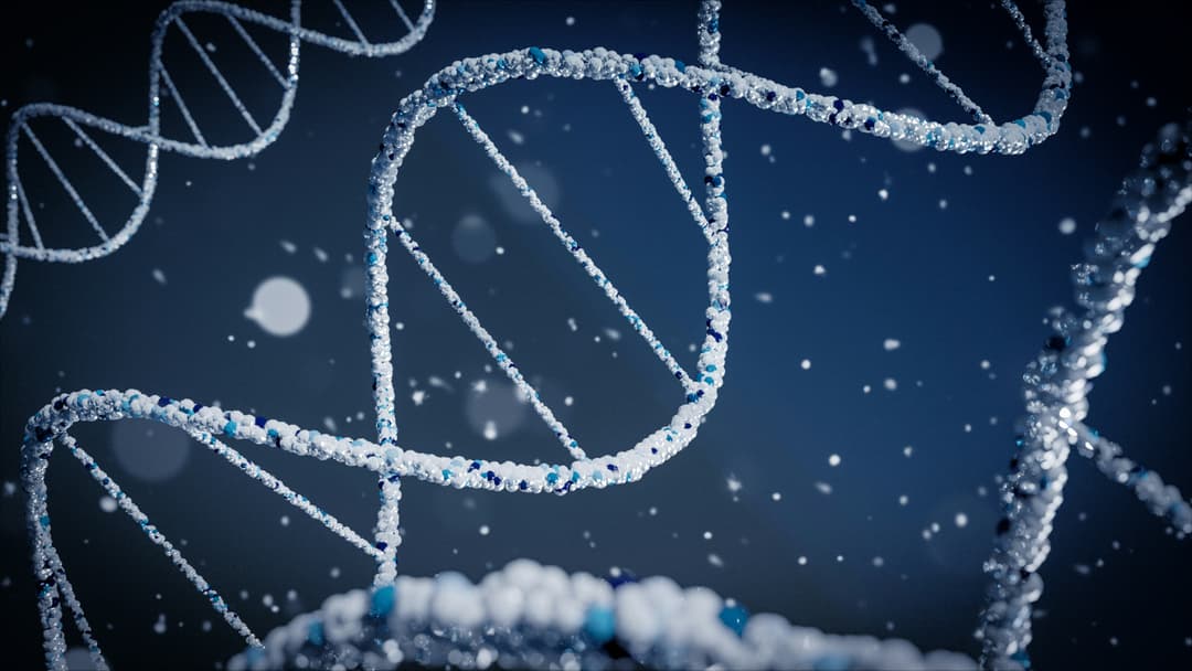 Lung Cancer Prediction with Gene Expressions